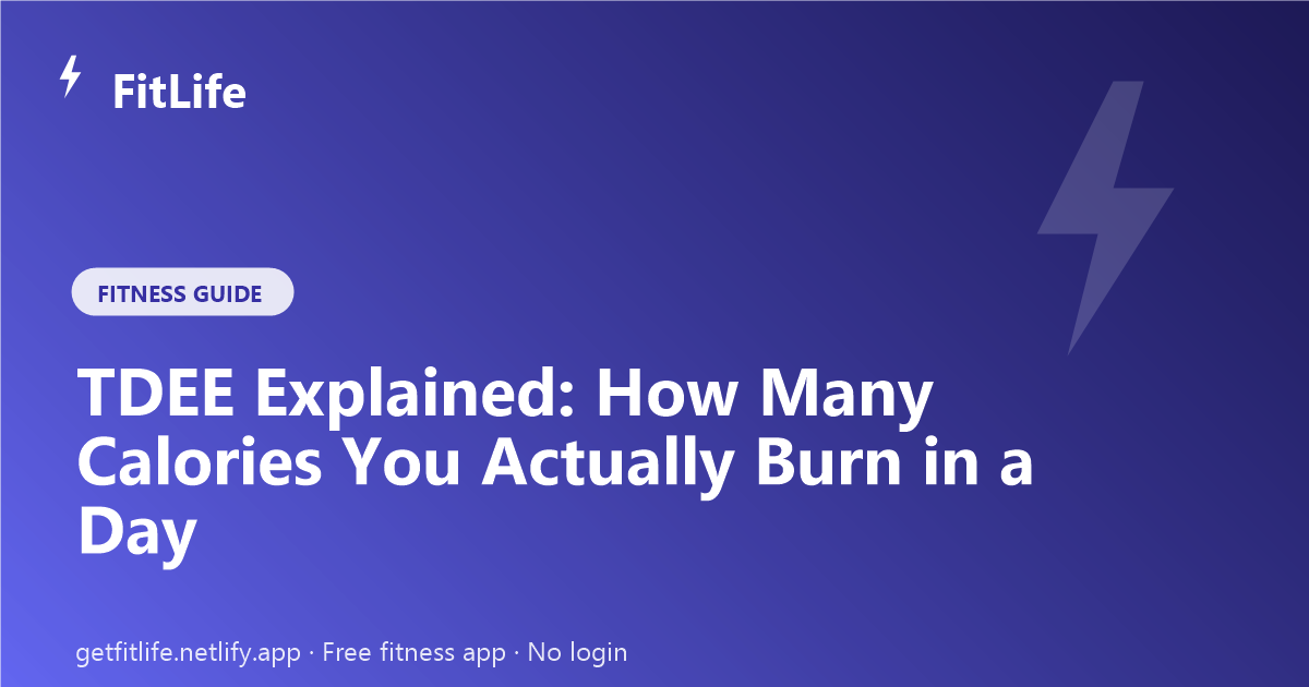 TDEE Explained: How Many Calories You Actually Burn in a Day